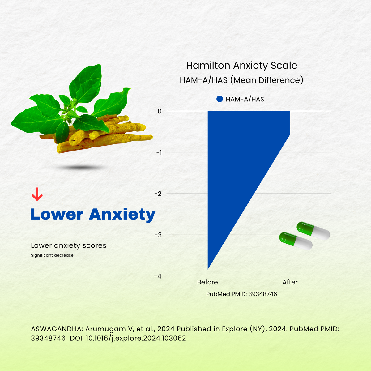 Ashwagandha Capsules – Herbal Support - 60 Capsule