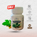 Ashwagandha Capsules – Herbal Support - 60 Capsule